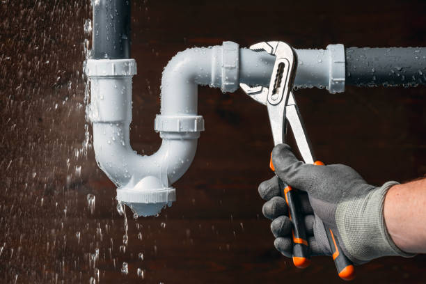 Professional Plumbing technician working in Emden, IL